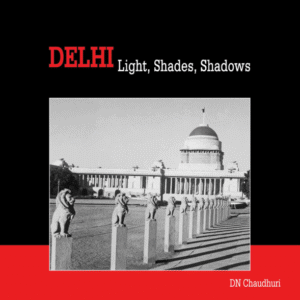 Delhi-Light-Shades-Shadows-1.png
