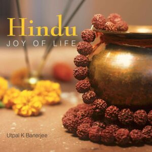 Hindu-Joy-of-Life-1.jpg