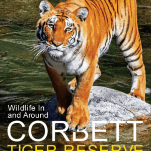 Wildlife-In-and-Around-Corbett-Tiger-Reserve.png